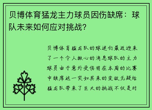 贝博体育猛龙主力球员因伤缺席：球队未来如何应对挑战？